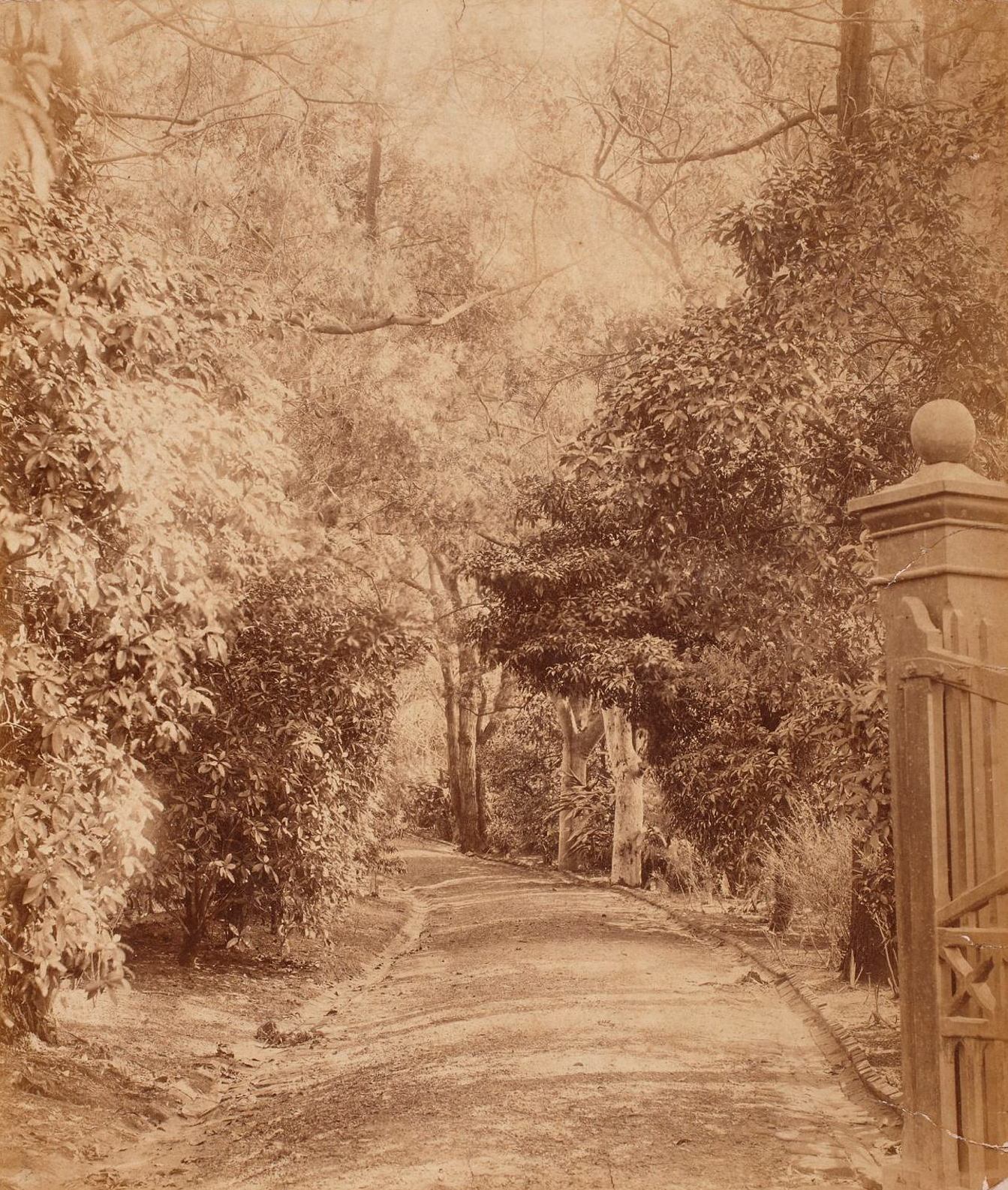 Carriage drive gate, Clifton, Kirribilli Point, around 1888 / photographer unknown